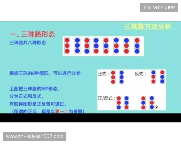 庄闲游戏网站的玩法规则详解新手必看入门指南
